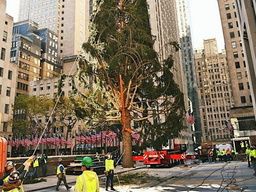 L’albero di Natale di New York come Spelacchio