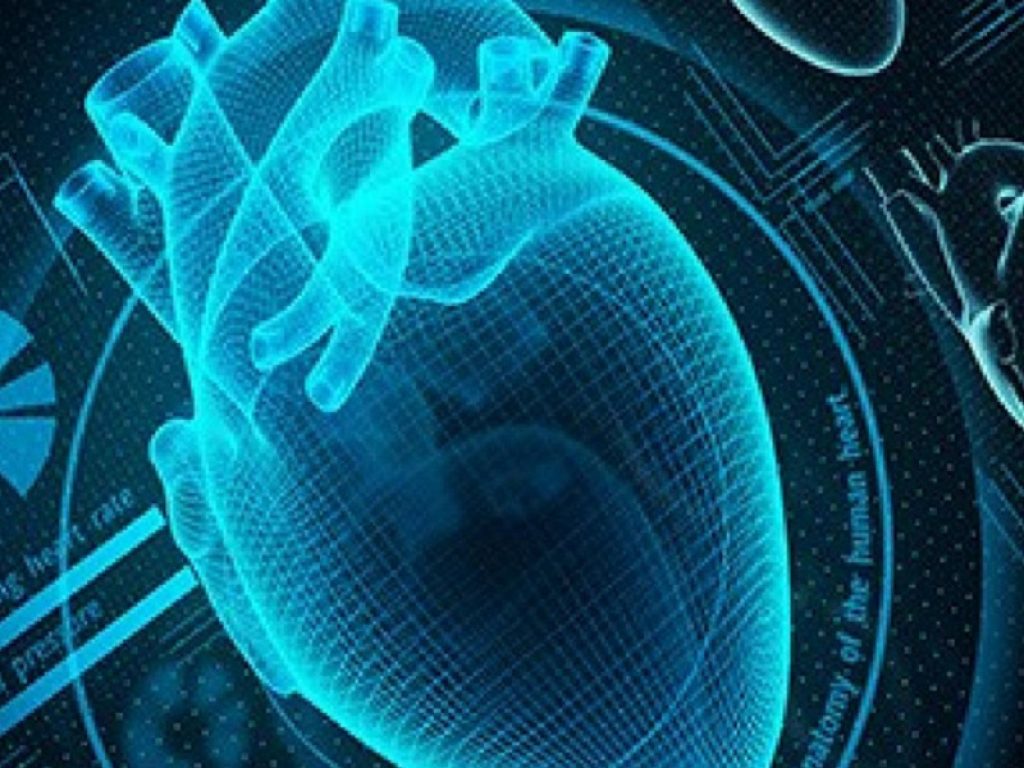 Sindrome del QT lungo: arrivano promettenti risultati dalla prima terapia genica ibrida sviluppata alla Mayo Clinic