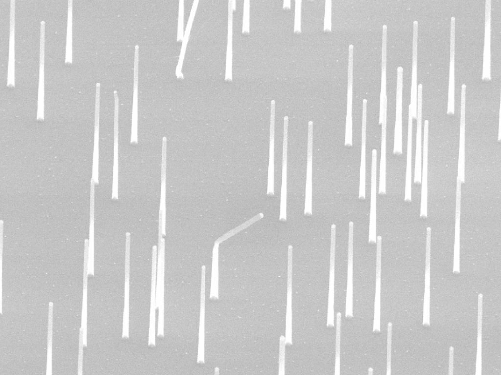 Nuove frontiere per i nanofili semiconduttori