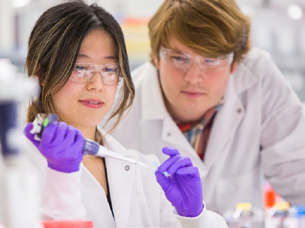 Inibitore di BRAF di nuova generazione promettente in diversi tipi di tumore secondo uno studio clinico preliminare presentato al 32° EORTC-NCI-AACR Symposium