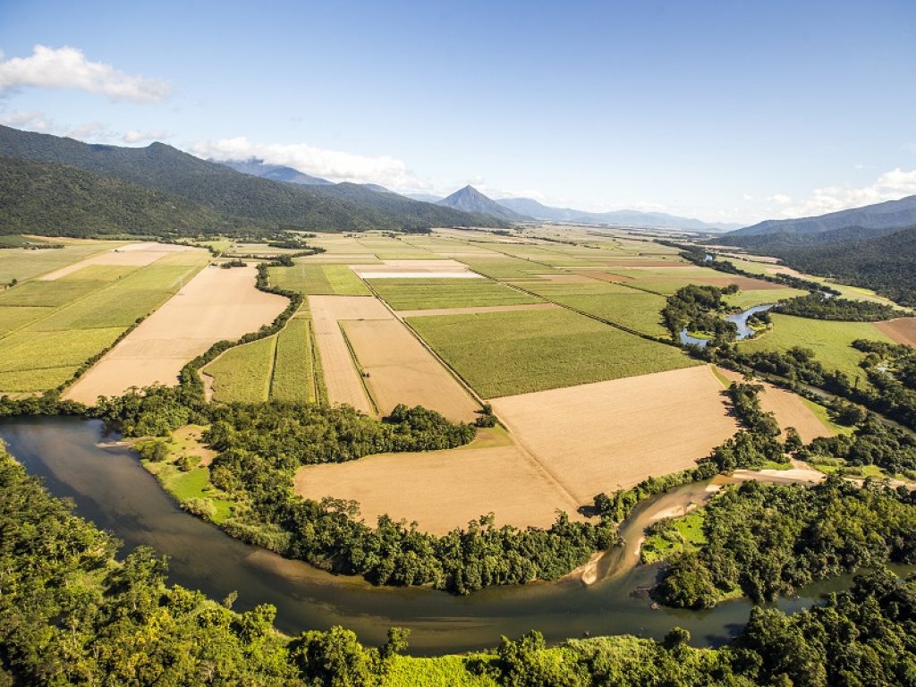 Parte il progetto I-Seed per costruire robot biodegradabili e intelligenti ispirati ai semi per il monitoraggio del suolo e dell'aria