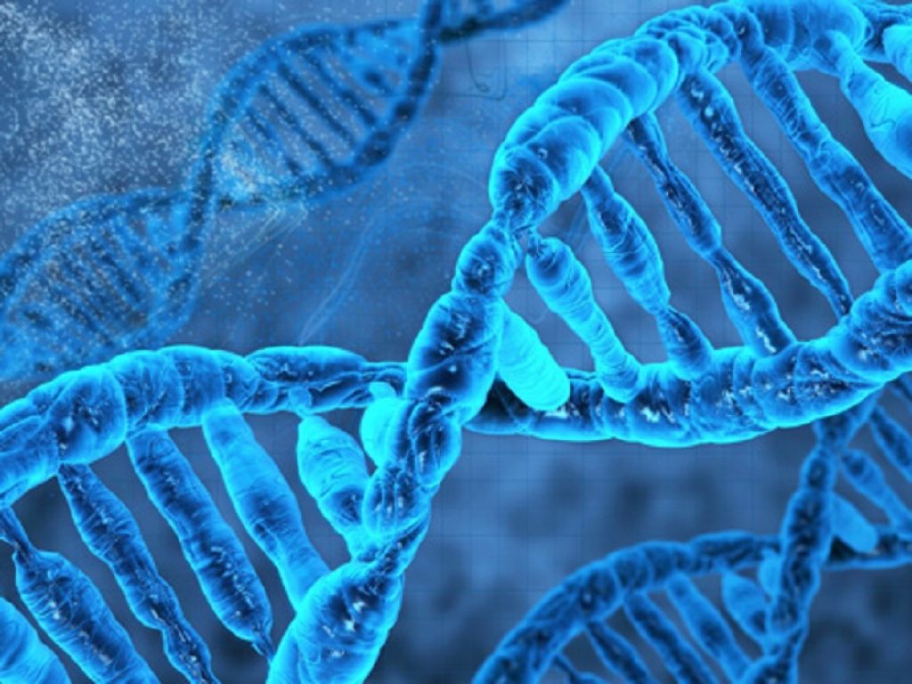 SMA: Aifa inserisce Zolgensma a carico del SSN