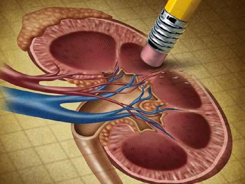 Ertugliflozin preserva la funzione renale nei pazienti con diabete di tipo 2 e malattie cardiovascolari secondo un nuovo studio