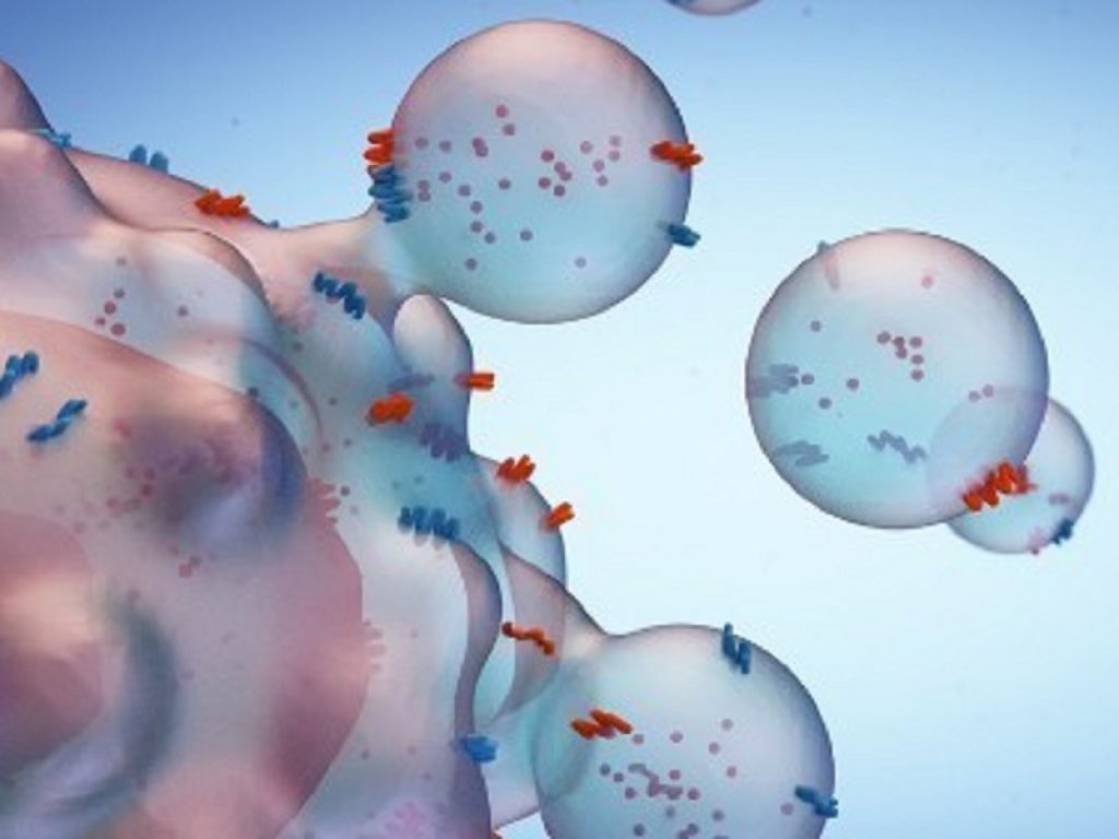 Vescicole extracellulari: parte il progetto MARVEL