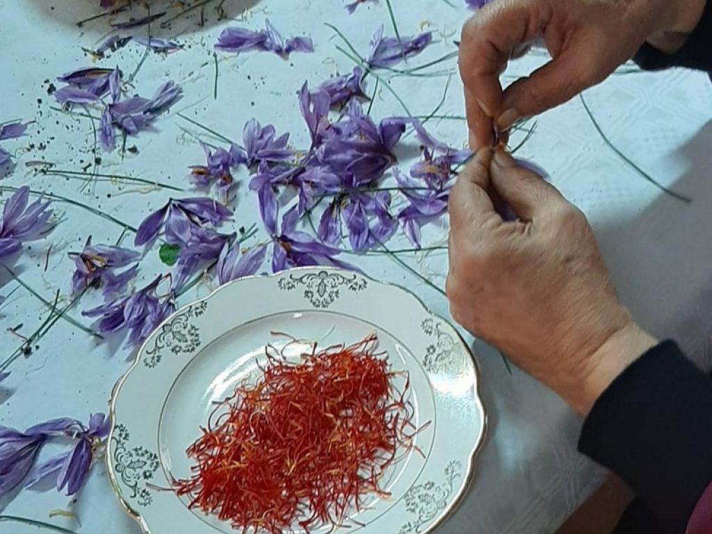 Vetrina digitale per Le Strade dello Zafferano di Sardegna DOP