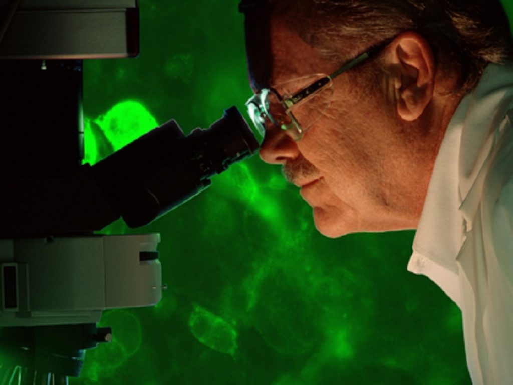 Linfoma a grandi cellule: bene l'aggiunta di polatuzumab vedotin