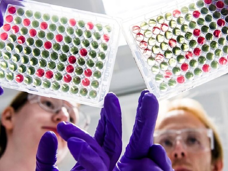 L'immunità dei guariti da Covid-19 potrebbe durare per sempre: la metanalisi del Centro Altamedica confermata da uno studio pubblicato su Nature