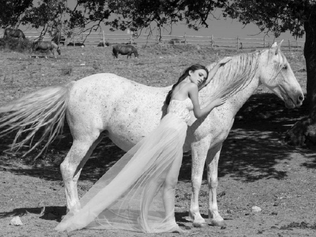 IHP lancia il calendario 2021 per i cavalli sieropositivi