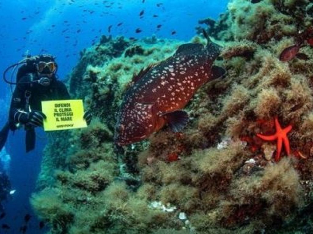 I cambiamenti climatici e il mare: gravi conseguenze anche per l'uomo. Il nuovo briefing di Greenpeace lancia l'allarme: servono azioni rapide per evitare danni dal surriscaldamento