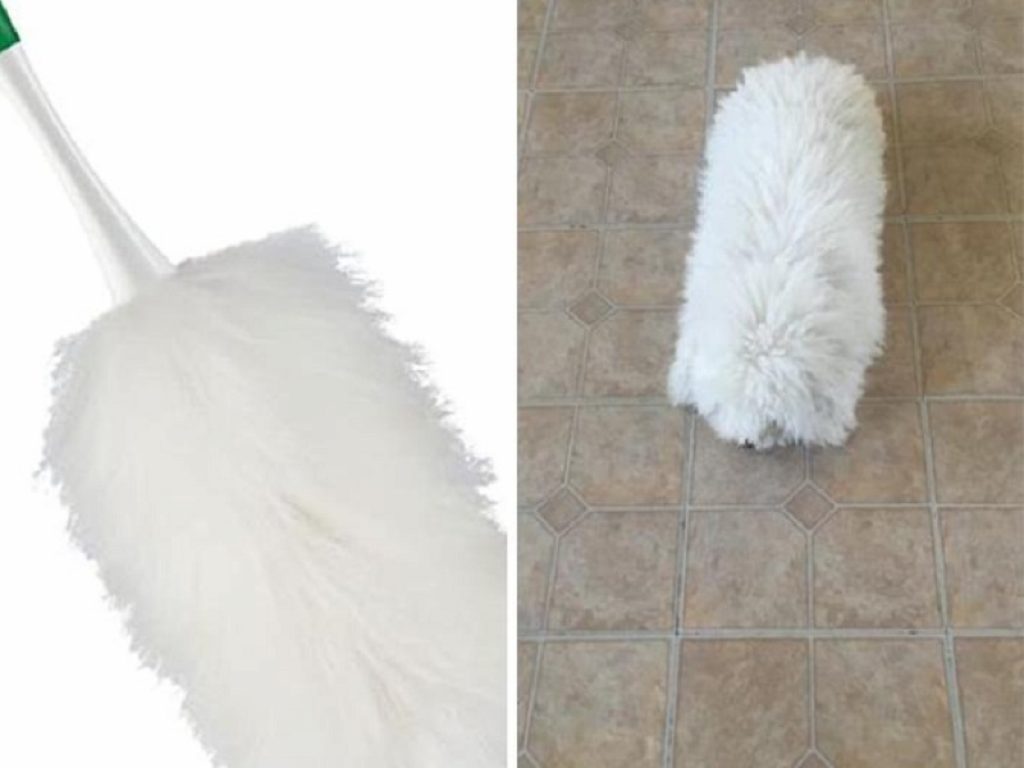 A chi assomiglia il tuo cane? La sfida corre sul web