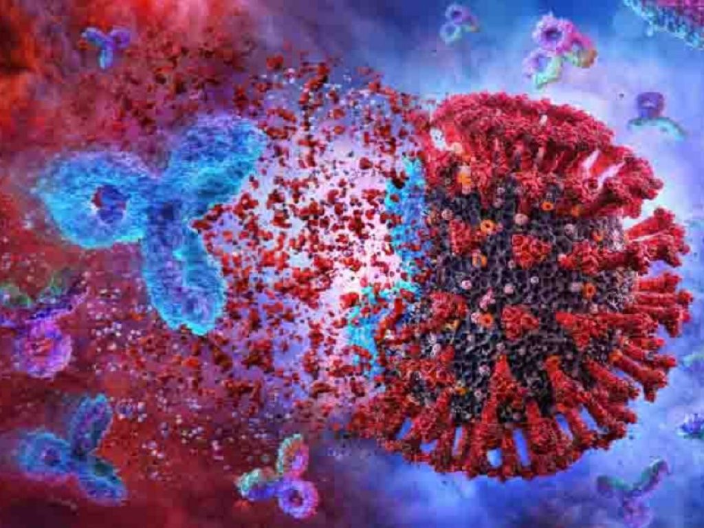 Covid: da cocktail anticorpi nuova speranza di cura