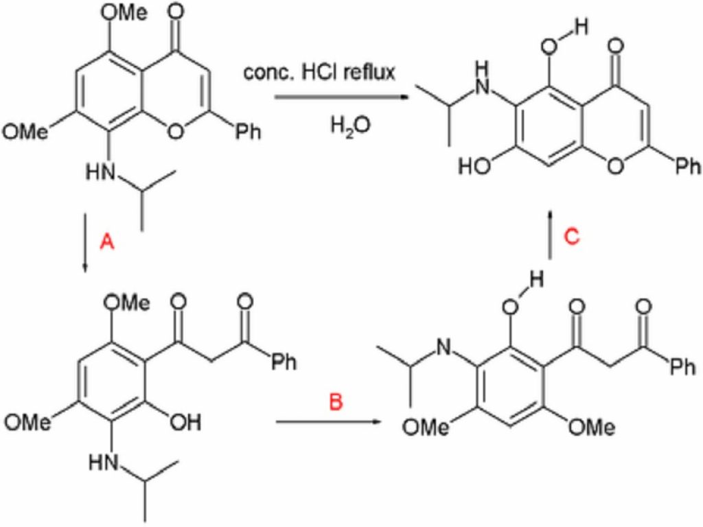 Studio spiega l'azione terapeutica dei flavoni