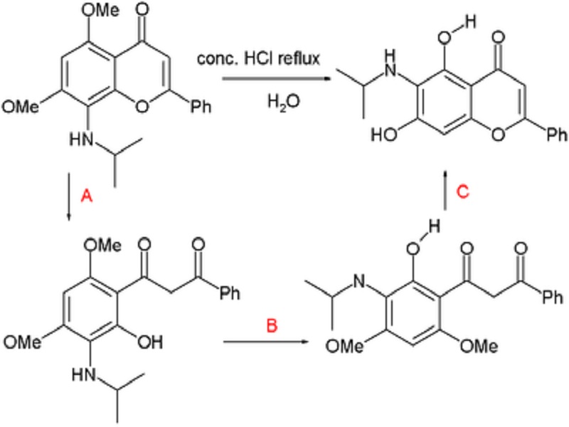 Studio spiega l'azione terapeutica dei flavoni