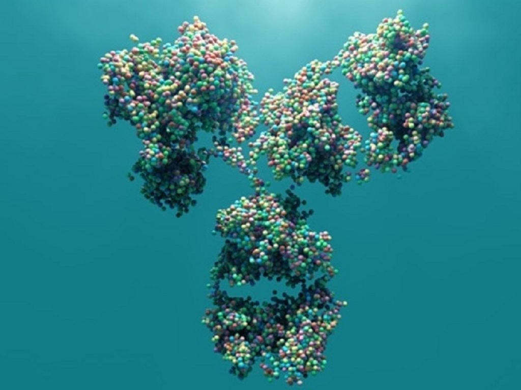 Scoperti marcatori genetici associati all'infezione e alla gravità del Covid: lo studio internazionale pubblicato su Nature