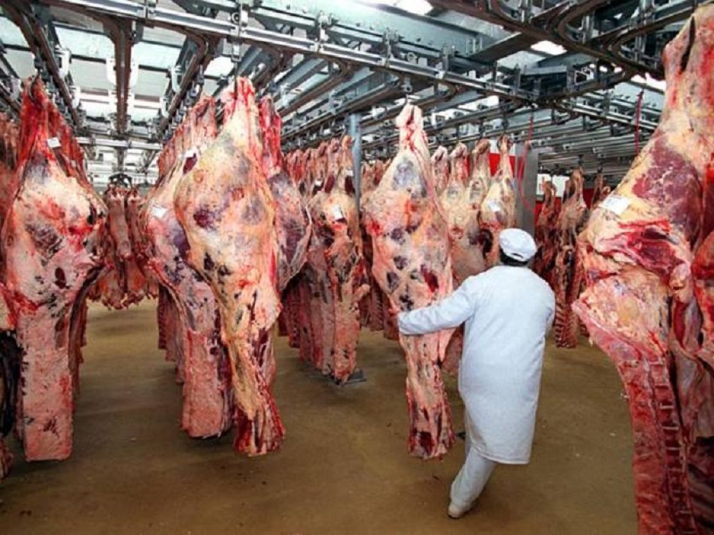 Macellazione rituale: l'animale deve essere stordito per legge