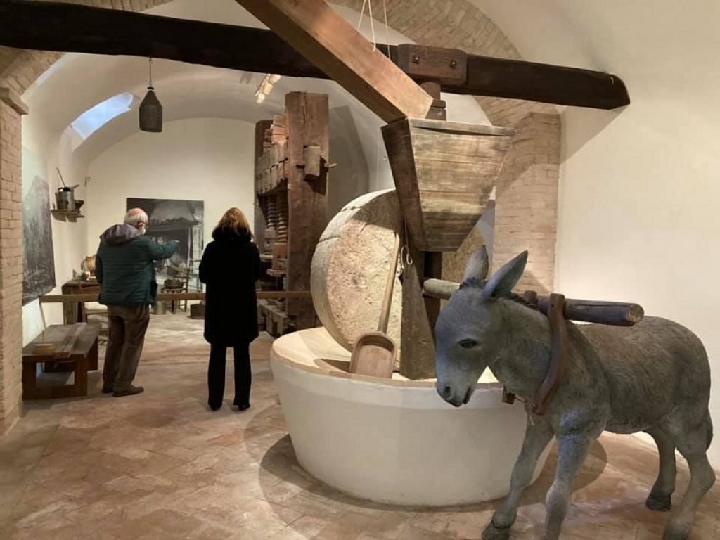 Turismo dell'Olio: Museo di Trevi tra i finalisti