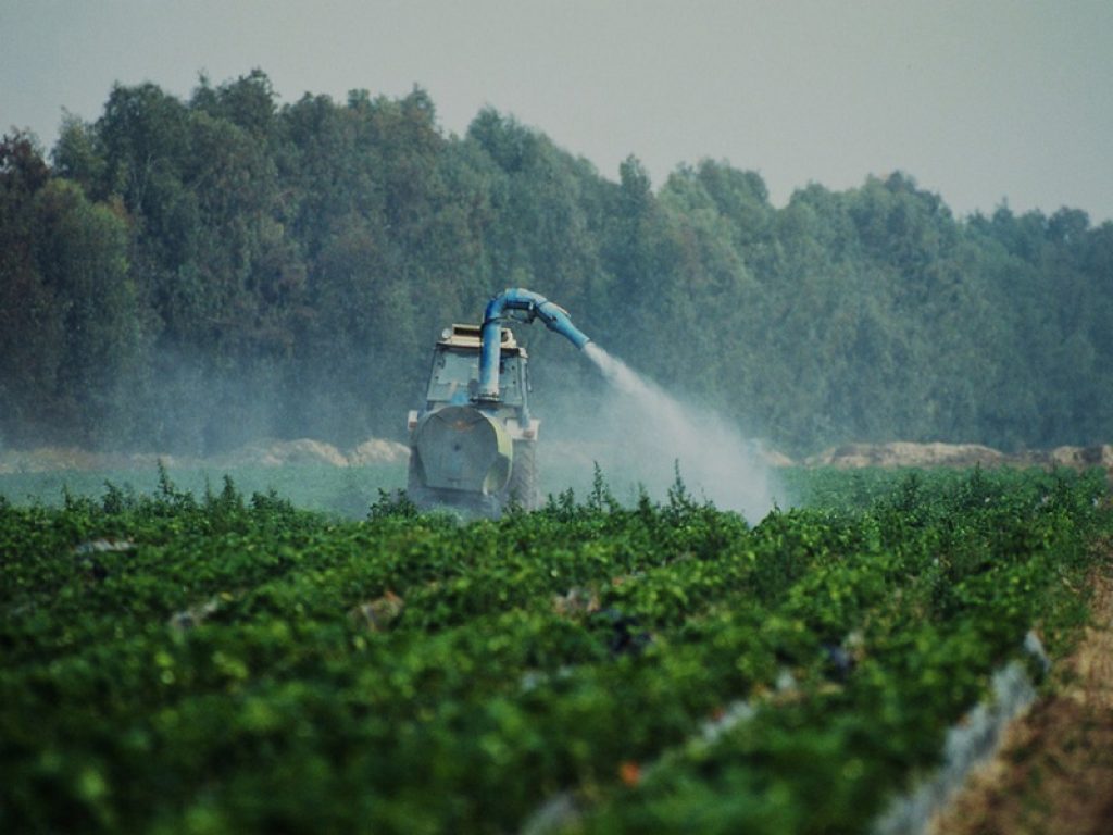 Agricoltura: pesticidi killer della biodiversità