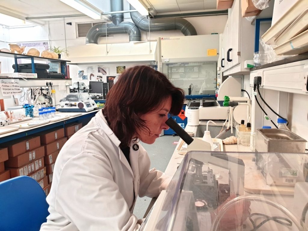 Biomarcatore prevede la gravità del Covid