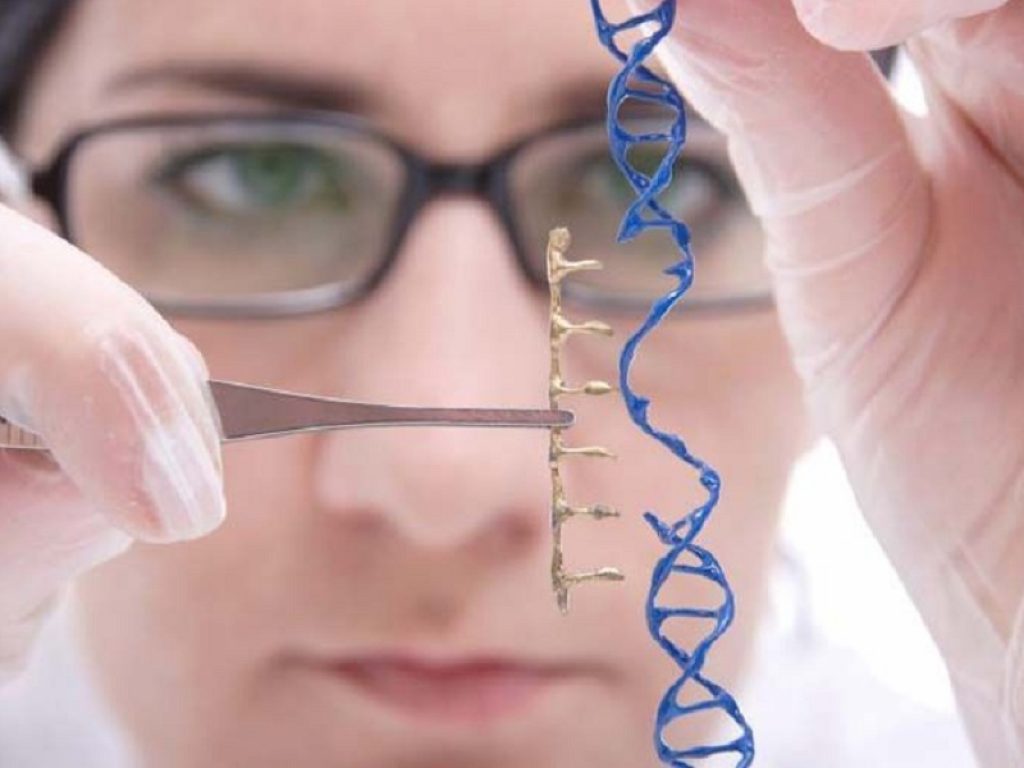 Fenilchetonuria: l'agenzia statunitense FDA ha effettuato un blocco clinico sul farmaco sperimentale BMN 307 di BioMarin