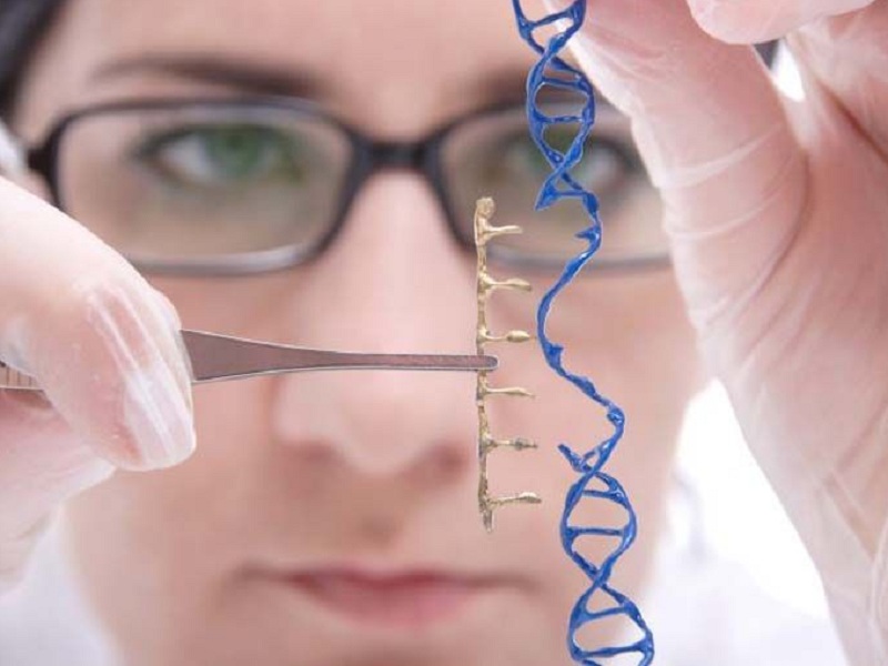 Fenilchetonuria: l'agenzia statunitense FDA ha effettuato un blocco clinico sul farmaco sperimentale BMN 307 di BioMarin