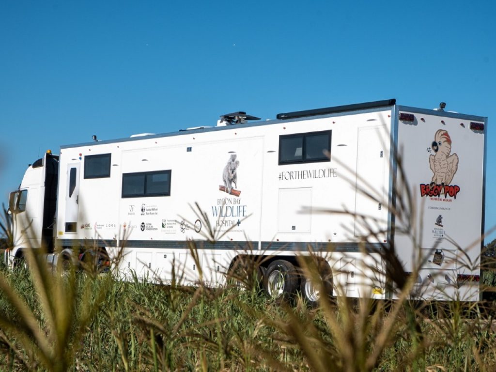 Grazie anche ai fondi messi a disposizione dal WWF è stato realizzato in Australia il più grande ospedale mobile per la fauna selvatica