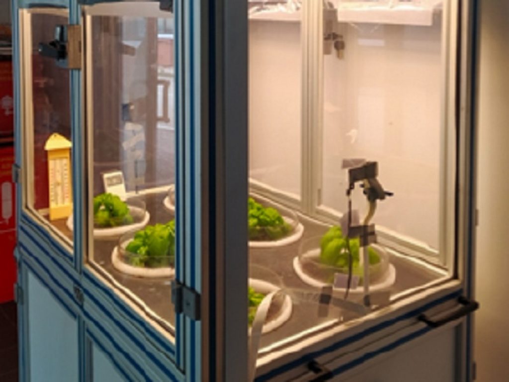 Illuminazione OLED per l'agricoltura del futuro