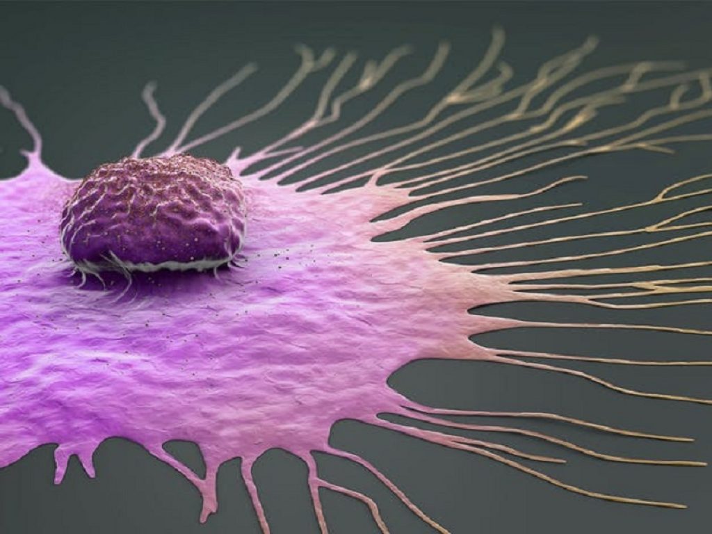 ovariectomia profilattica