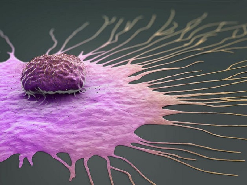 ovariectomia profilattica