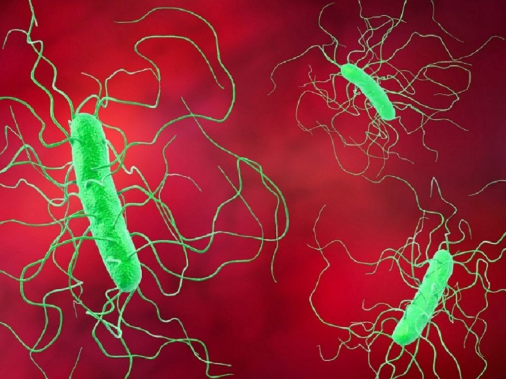 Seres Therapeutics e Nestlé Health Science commercializzeranno il trattamento orale sperimentale del microbioma per le infezioni ricorrenti da Clostridioides difficile
