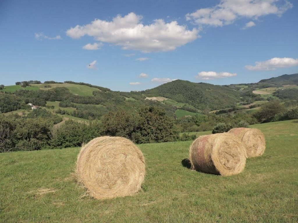 Wwf: il 2021 deve essere l'anno del biologico