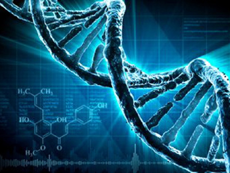 Alnylam punta all'approvazione di vutrisiran