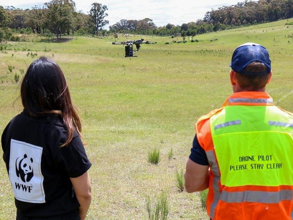 Australia: fototrappole e droni per la rinascita green