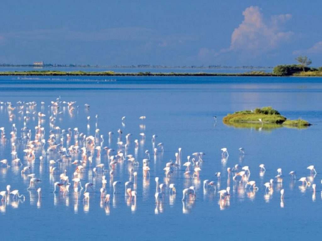 Ferrara diventa set cinematografico per "Delta"