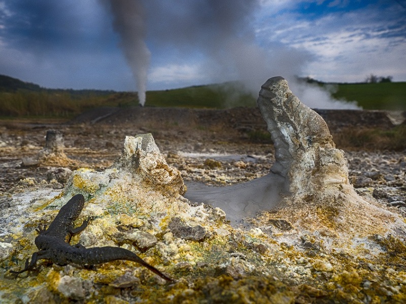 Enel Green Power supera record di capacità rinnovabile