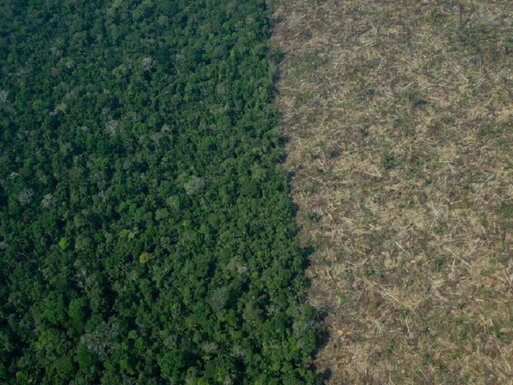 Meno deforestazione nelle terre dei Karipuna