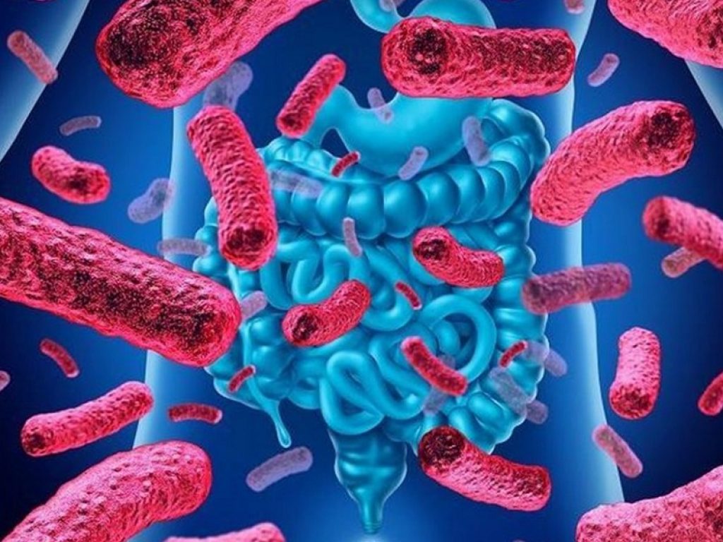 Quattro specie batteriche chiave del microbioma intestinale sono state identificate come predittori dello sviluppo del diabete di tipo 2