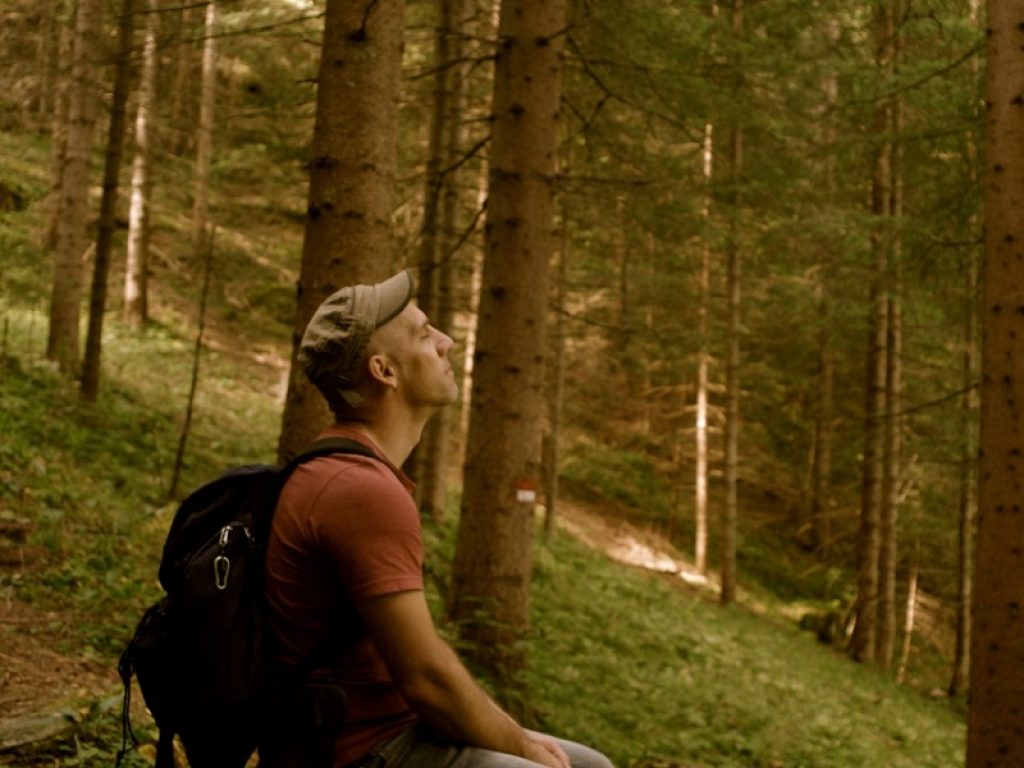 Nel ventre dell'orsa debutta con il singolo "Il risveglio"