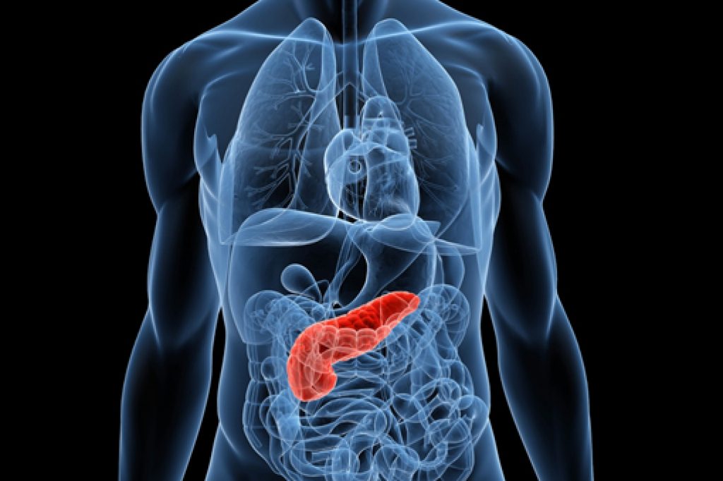 Aifa ha approvato la rimborsabilità della formulazione ad alto dosaggio di pancrelipasi (420 mg) per il trattamento dell'insufficienza pancreatica esocrina