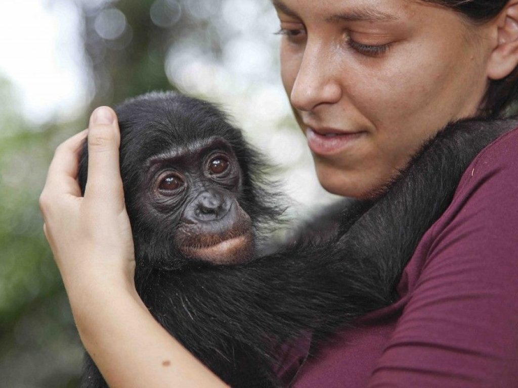 Alessandra Prampolini è il nuovo direttore generale del WWF Italia: vertice tutto rosa nella prima associazione ambientalista italiana