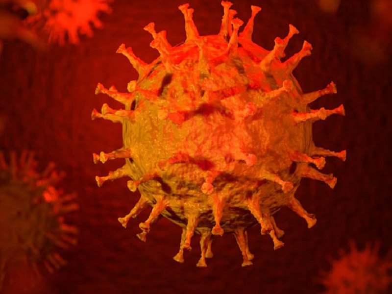 Nuovo software per l'analisi genomica del Covid