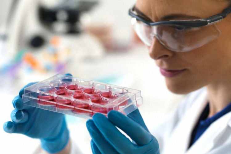 Il trapianto di cellule staminali da donatore è l’unica arma contro la leucemia mielomonocitica cronica, un tumore raro del sangue