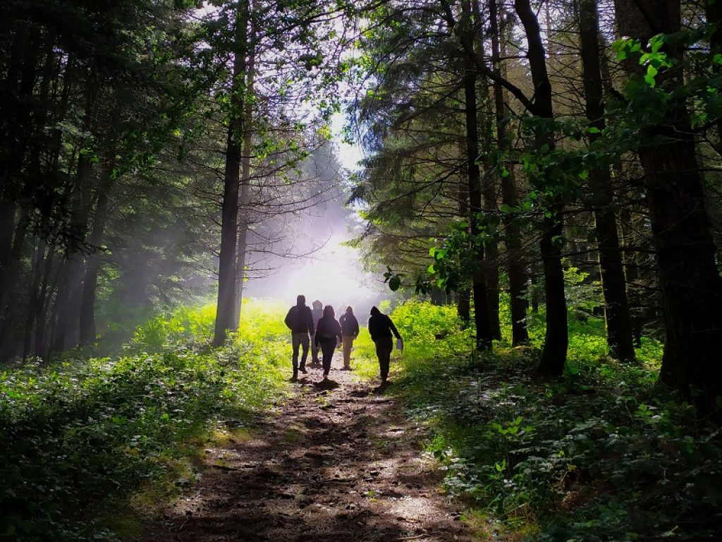 Nasce la foresta BMS: grazie alla collaborazione con Treedom, Bristol Meyers sosterrà la piantumazione degli alberi in Africa, America Latina e Asia