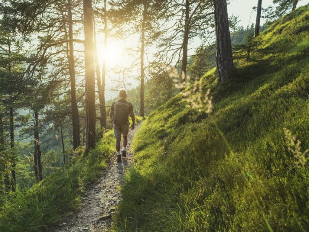 Venti minuti al giorno immersi nella natura sono una pillola contro lo stress secondo uno studio pubblicato sulla rivista Frontiers in Psychology