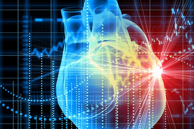 Le nuove Linee Guida per le malattie cardiovascolari nelle persone con diabete sono state pubblicate in occasione del Congresso ESC di Amsterdam