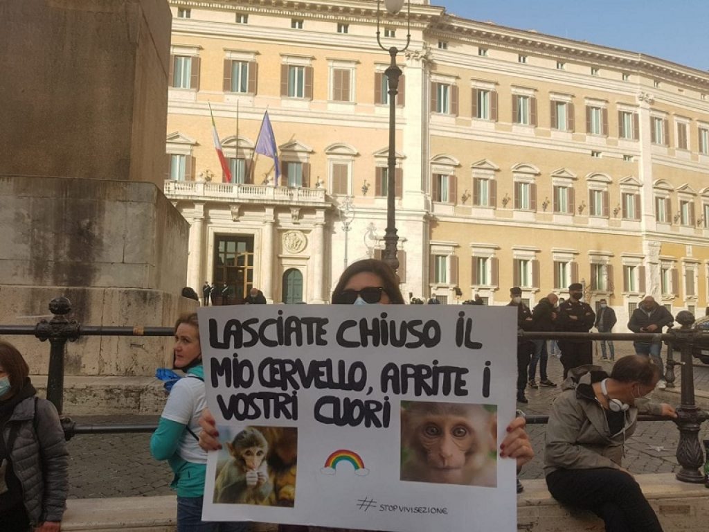 Animalisti in piazza per difendere i macachi