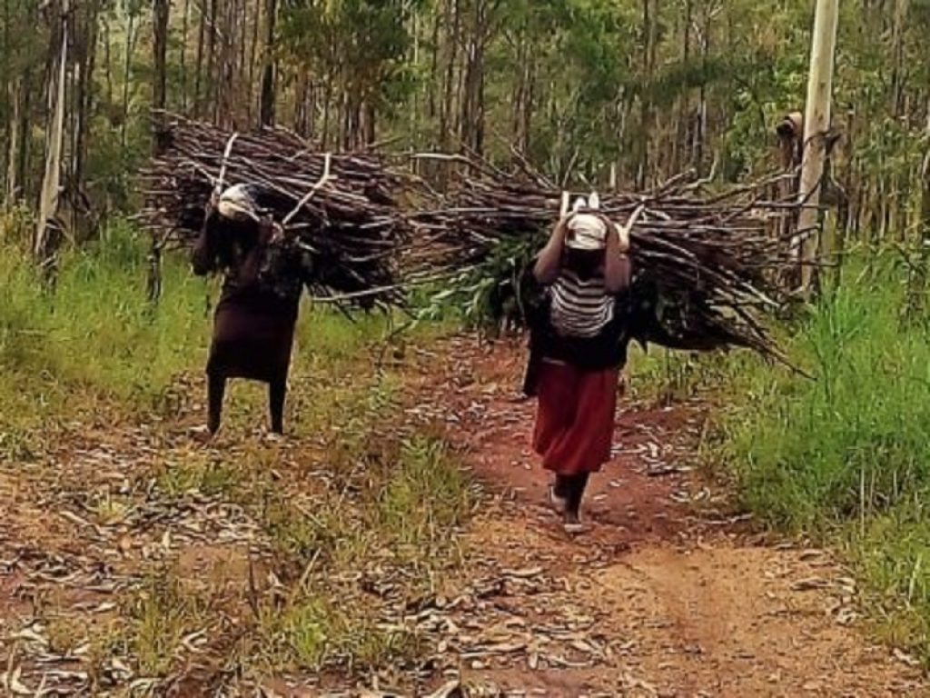 Camellia risarcirà lavoratrici del Kenya e del Malawi