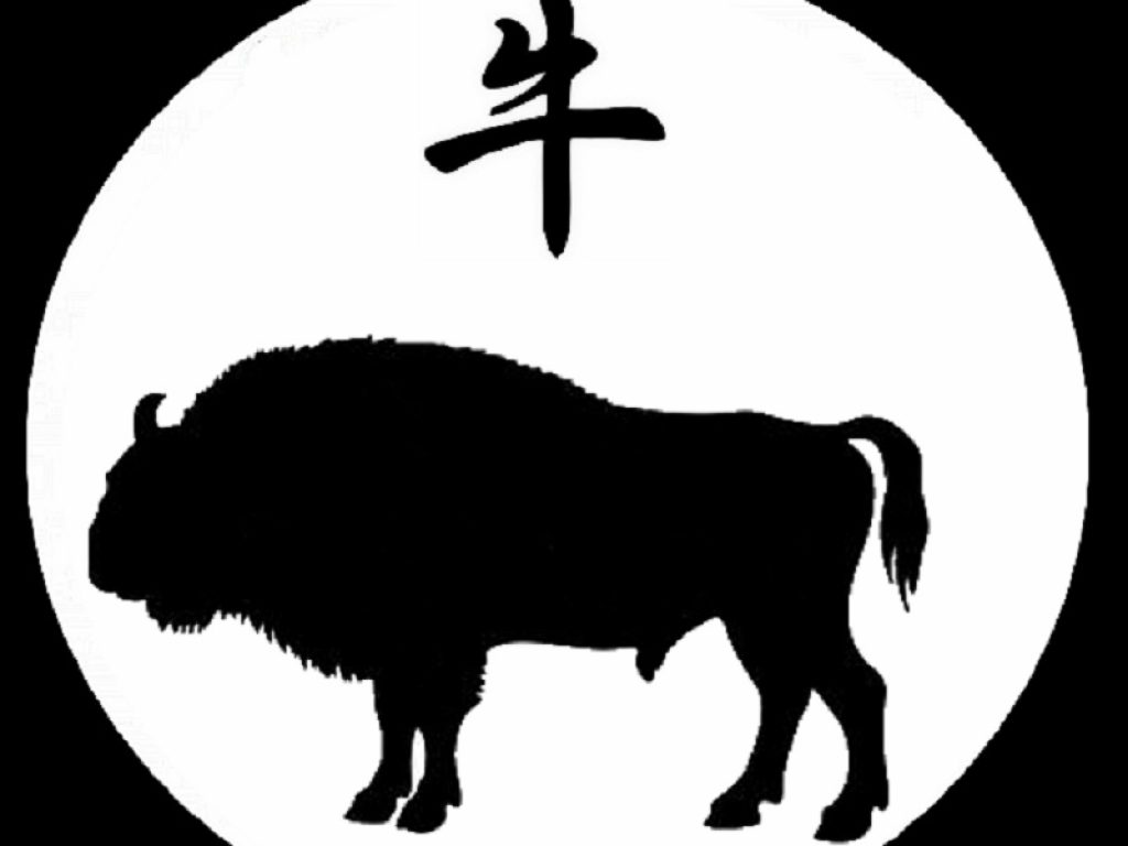 Capodanno cinese, oggi inizia l’anno del Bue: tutte le curiosità