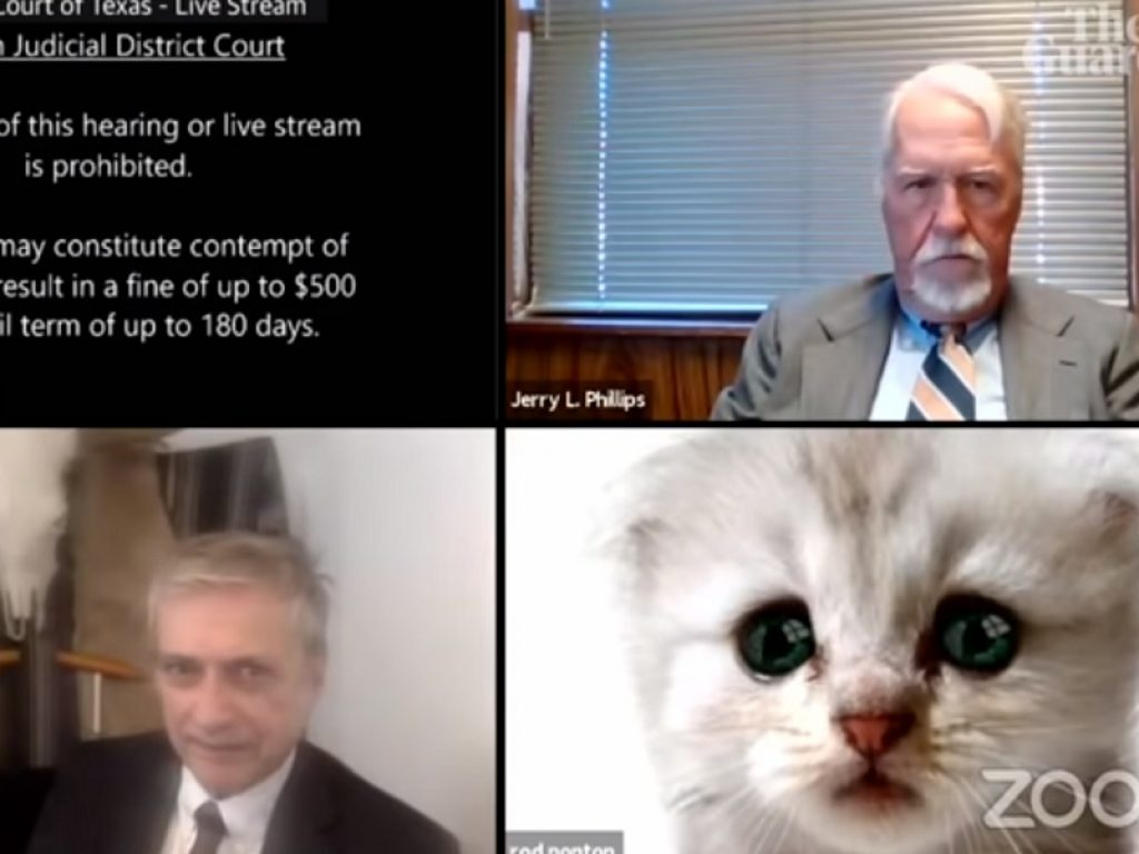 L'avvocato texano Rod Ponton partecipa all’udienza su Zoom con il filtro da gatto: il video diffuso sui social è diventato subito virale