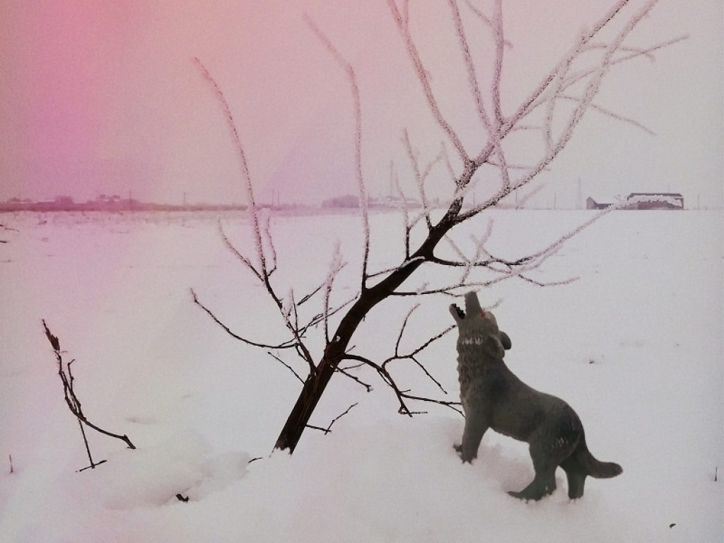 Gli Ave Quasàr online con il nuovo "Bene & Pace"