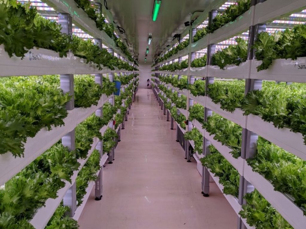 Più resa con meno acqua: il futuro è delle fattorie verticali